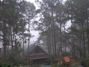 Phong cảnh thiên nhiên gần nhà gỗ