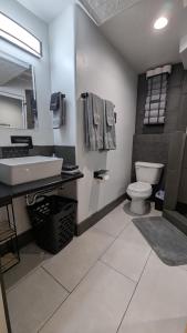 a bathroom with a sink and a toilet at Canyon Coze - Ski, Board, Sled, Bike, Hike in Ogden