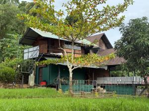 a house with a tree in front of it at hornbill river cottage udawalwa in Udawalawe