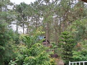 Vườn quanh Cabaña monte de los olivos