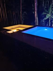 Πισίνα στο ή κοντά στο Natureza Instagrmável Casa Penedo