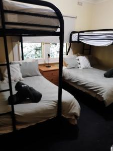 Rubicon Views Cottage في Acheron: سريرين بطابقين في غرفة مع نافذة