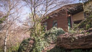 a small house is surrounded by trees and bushes at Lila Casas de Montaña in La Cumbrecita
