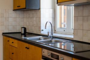 Kuchyň nebo kuchyňský kout v ubytování Mythos Suites-Aphrodite apartment