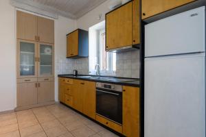 Kuchyň nebo kuchyňský kout v ubytování Mythos Suites-Aphrodite apartment