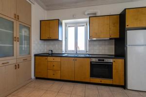 Kuchyň nebo kuchyňský kout v ubytování Mythos Suites-Aphrodite apartment