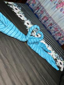 Φωτογραφία από το άλμπουμ του Cacao House σε Cahuita