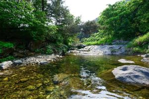 a river with rocks and trees on the side at Feelstay Valley Pension in Gapyeong