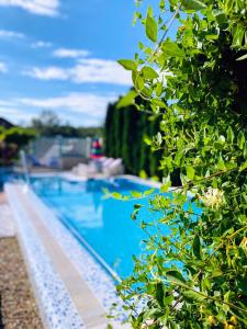 a view of a swimming pool through a tree at Villa - Riviera Nistreana in Mălăieşti