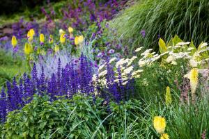 a field of colorful flowers in a garden at Garden Beds Glamping in Blackwood