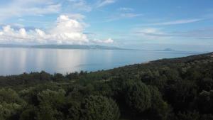 Galeriebild der Unterkunft Corry 1 in Ravni + 60 Fotos