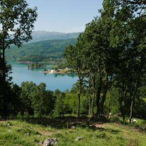 Příroda nedaleko apartmánu