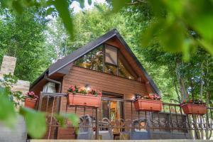 采蒂涅Mountain harmony Lovćen的树林里的小屋，有两个花箱