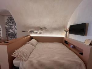 a bedroom with a bed with a tv on the wall at Charming Studio Saint Martin Vésubie in Saint-Martin-Vésubie