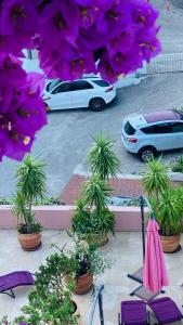 Fotografie z fotogalerie ubytování Luxury Apartments Marhella & Jakov v destinaci Makarska
