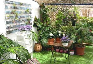 a greenhouse with potted plants and a table with plants at Apartamentos Calypso in Punta Umbría