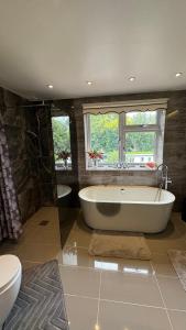 伦敦Stunning double bedroom Greenwich London with private bathroom的带浴缸和卫生间的大型浴室