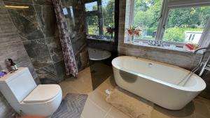 伦敦Stunning double bedroom Greenwich London with private bathroom的带浴缸、马桶和水槽的浴室