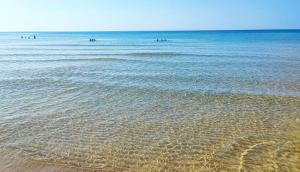 Foto dalla galleria di Villetta Mirto 150 m dalla spiaggia a Marina di Pescoluse Altre 53 foto