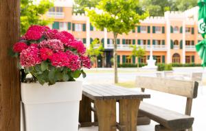 a white planter with pink flowers next to a wooden bench at Kim Schlosshotel im Park in Dresden