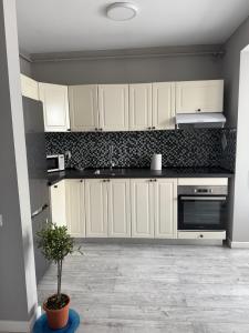Kuchyň nebo kuchyňský kout v ubytování Apartament Avram Iancu Florești