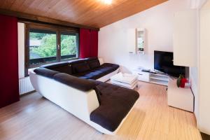 a living room with a couch and a tv at W & S Executive Apartments - Hallstatt I in Hallstatt