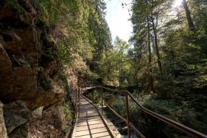 Phong cảnh thiên nhiên gần căn hộ