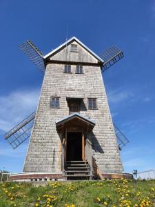 a windmill on top of a hill with flowers at Koryciński wiatrak in Korycin +10 photos