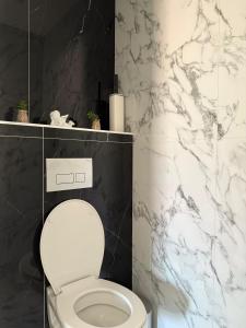 a bathroom with a white toilet and a marble wall at Maison de la Pornicaise 13 in Saint-Jean-de-Monts