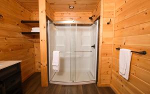 Koupelna v ubytování White Pine Lodge + 40 fotografií