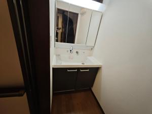 a bathroom with a sink and a mirror at ZYZ Fujimidai House練馬一户建 in Tokyo