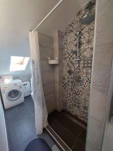 y baño con ducha y lavadora. en Dedinje Top, en Belgrado 5 fotos más