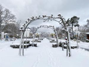 ein Bogen in einem schneebedeckten Park in der Unterkunft Villa Salus Whg 5 Auszeit - mit 2 Bädern und Balkon in Baabe