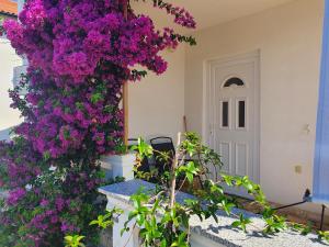 a bunch of purple flowers on a wall next to a door at Anja in Vir