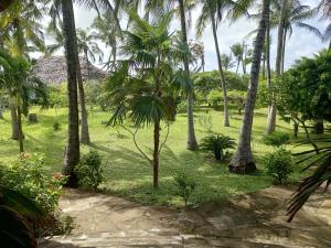 Fotografie z fotogalerie ubytování Sunny garden rooms Watamu v destinaci Watamu