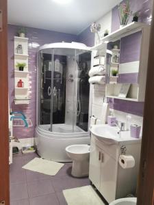 a bathroom with a shower and a toilet and a sink at Fully Furnished Studio in Sighetu Marmaţiei