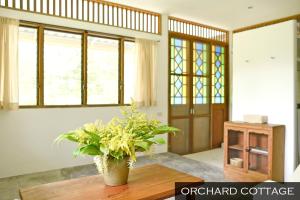 Fotografie z fotogalerie ubytování resort hoshihana v destinaci Chiang Mai