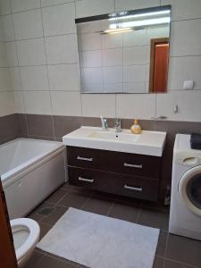 ゲヴゲリヤにあるManchev Apartmentsの洗面台、トイレ、鏡のあるバスルーム