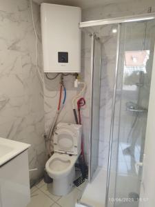 a bathroom with a toilet and a glass shower at Canal4 in Eckbolsheim