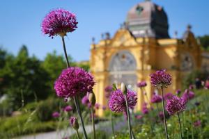 Zahrada ubytování Parkhotel Golf Marianske Lazne