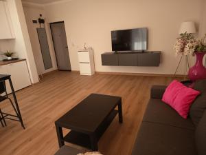 ein Wohnzimmer mit Sofa und Fernseher in der Unterkunft Giroc in Giroc