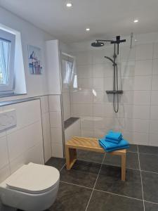 a bathroom with a toilet and a shower at Ferienwohnung Landglück in Haale
