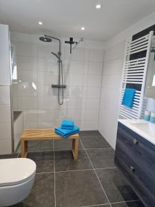 a bathroom with a shower and a toilet and a sink at Ferienwohnung Landglück in Haale +13 photos