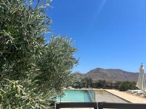una piscina con árboles y una sombrilla en Oro y Luz, en Rodalquilar