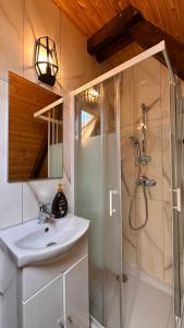 a bathroom with a sink and a shower at Cabana Arunia in Buninginea