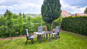 Κήπος έξω από το Souterrain +5 φωτογραφίες