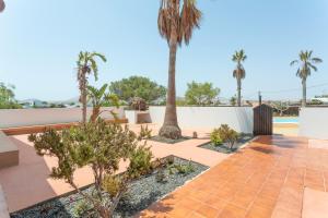 un patio con palmeras y una acera en Casita Dragón y Suerte Lajares Pool, en Lajares