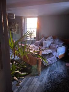 モファットにあるScarthingmoor Houseのギャラリーの写真