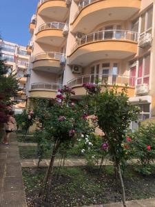 Κήπος έξω από το Dobi Apartments