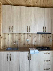 a kitchen with wooden cabinets and a sink at Green house Cottage in Itʼkhvisi